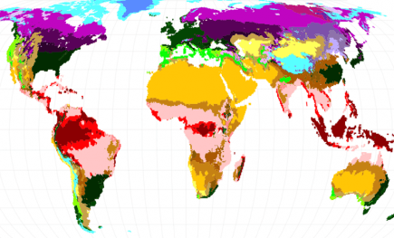 Map of climate predictions
